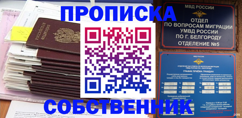 прописка законно в Шилке